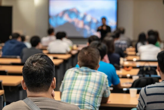 SEO & Organic Growth Modules