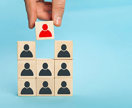 SEO & Organic Growth Modules