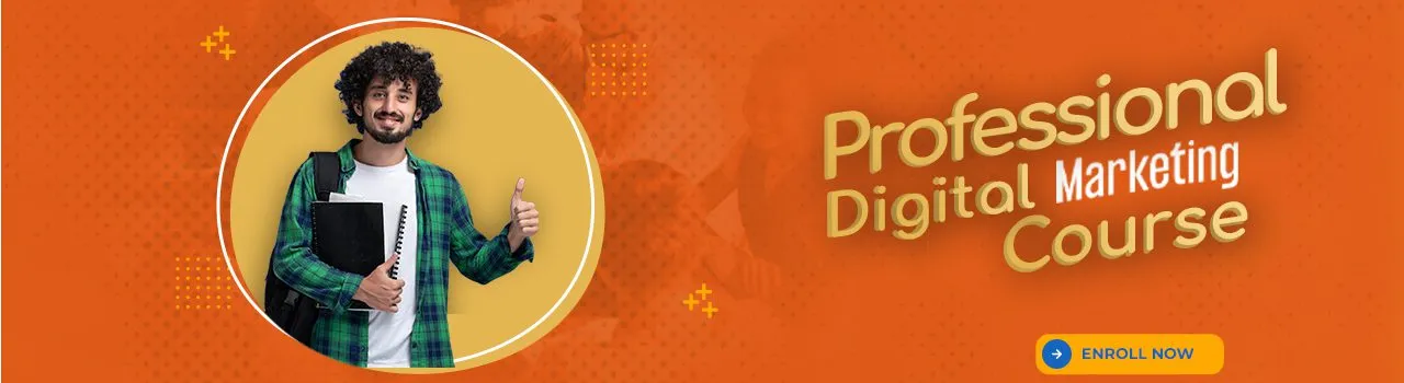 Professional Digital Marketing Course